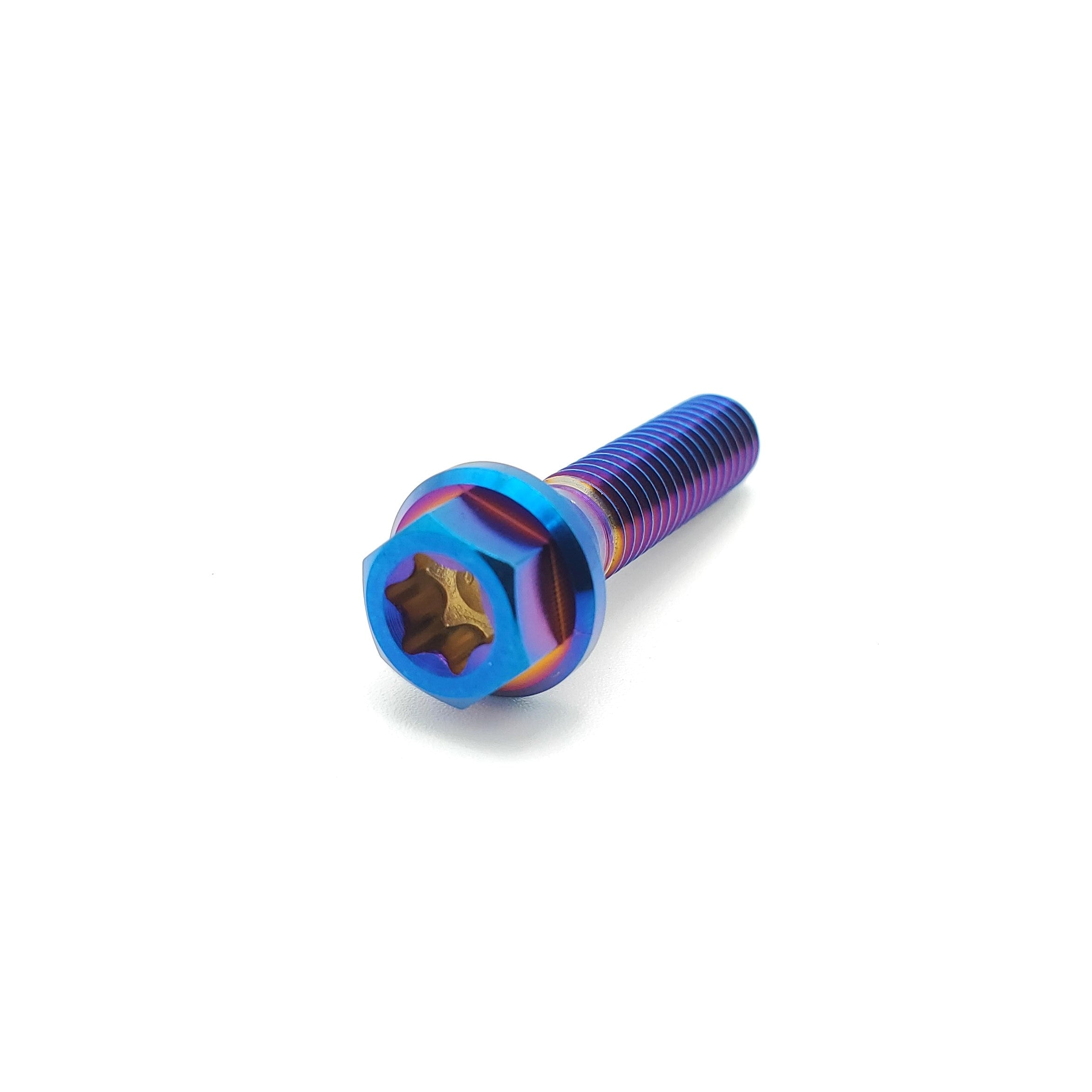 Titanium M6 Bolts (Collective)